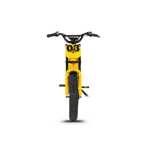 Elektriline FatBike Mangosteen FT-03