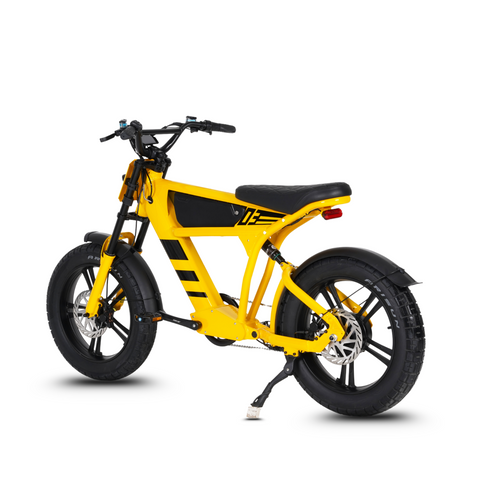 Elektrische FatBike Mangosteen FT-03