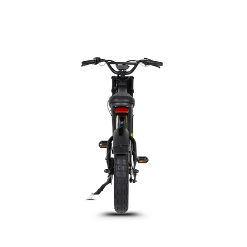 Elektriline FatBike Mangosteen FT-03