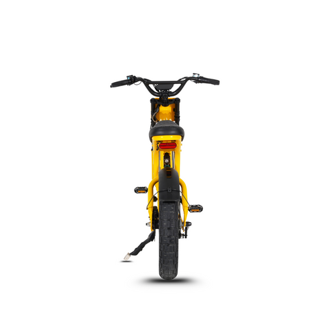 Elektrische FatBike Mangosteen FT-03