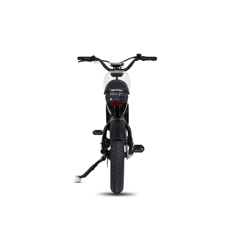 Elektrische FatBike Mangosteen FT-01