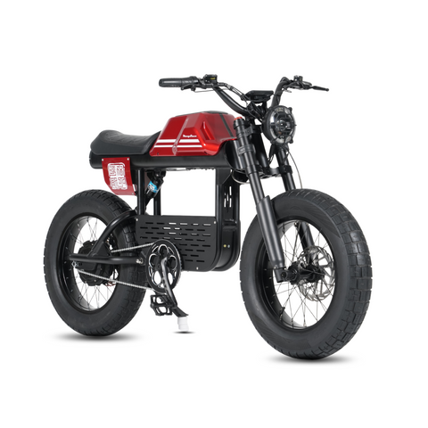Elektriline FatBike Mangosteen FT-01