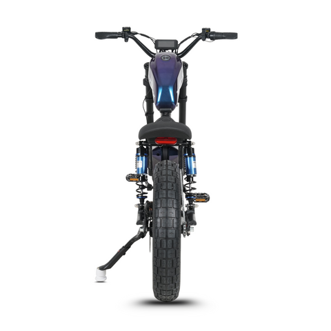 Elektrische FatBike Mangosteen FT-02 chopperstijl