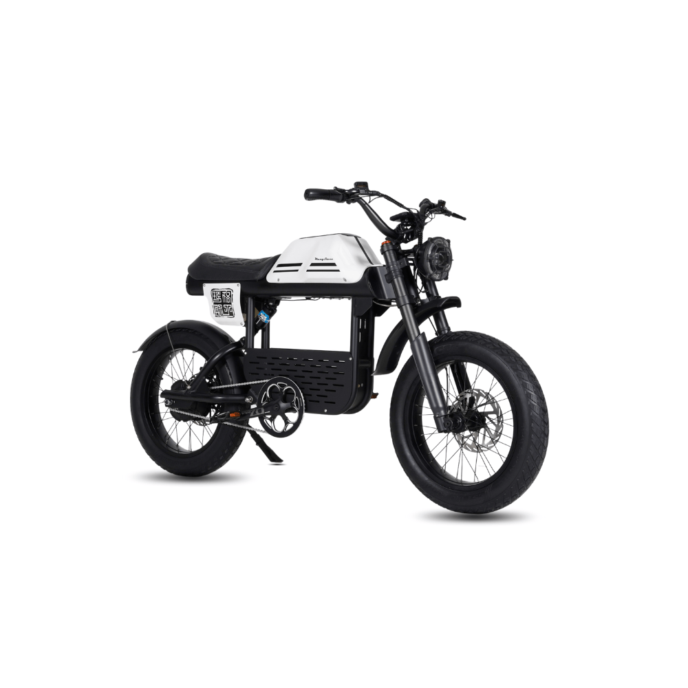 Our electric fat bikes – Scoot Motion