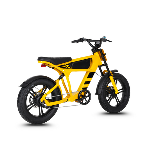 Vélo électrique FatBike Mangosteen FT-03