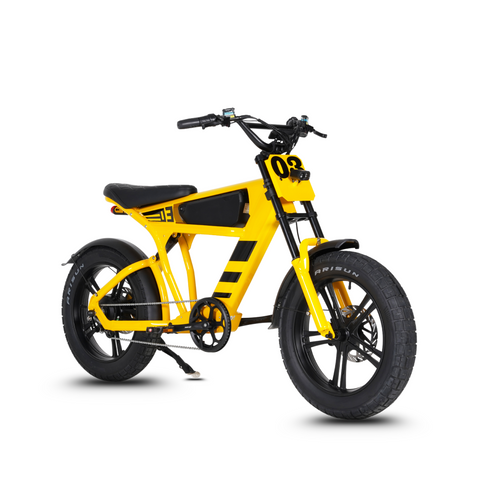 FatBike Mangosteen FT-03 Elektrofahrrad – Scoot Motion