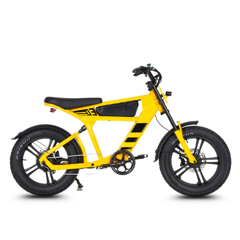 Vélo électrique FatBike Mangosteen FT-03
