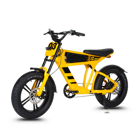 Vélo électrique FatBike Mangosteen FT-03