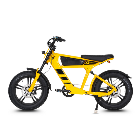 Vélo électrique FatBike Mangosteen FT-03
