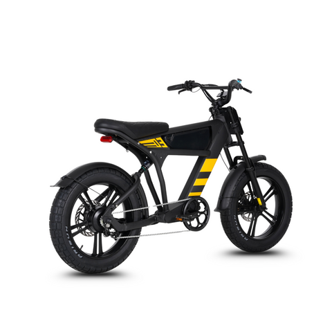 Vélo électrique FatBike Mangosteen FT-03