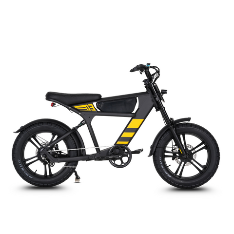 Vélo électrique FatBike Mangosteen FT-03
