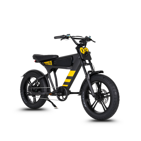 FatBike Mangosteen FT-03 Elektrofahrrad – Scoot Motion