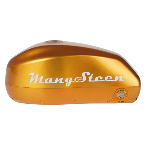 Batterie additionnelle amovible pour vélo électrique Fat Bike FT-02 – 48V 22,5Ah, autonomie 60 km