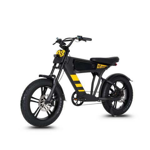 Vélo électrique FatBike Mangosteen FT-03