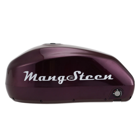 Batterie additionnelle amovible pour vélo électrique Fat Bike FT-02 – 48V 22,5Ah, autonomie 60 km