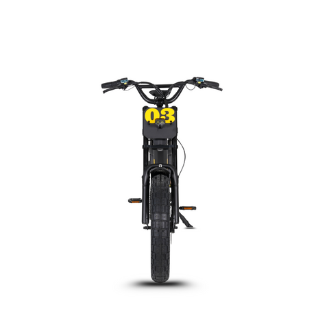 Vélo électrique FatBike Mangosteen FT-03