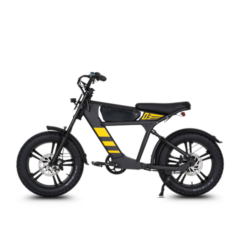 Vélo électrique FatBike Mangosteen FT-03