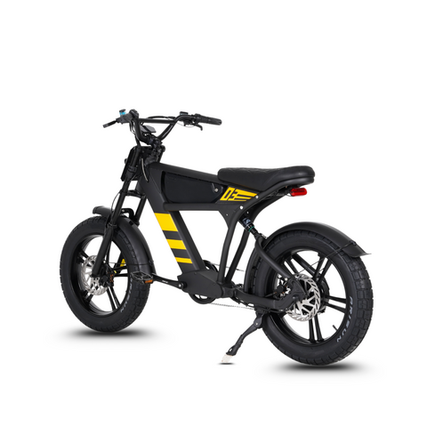 Vélo électrique FatBike Mangosteen FT-03