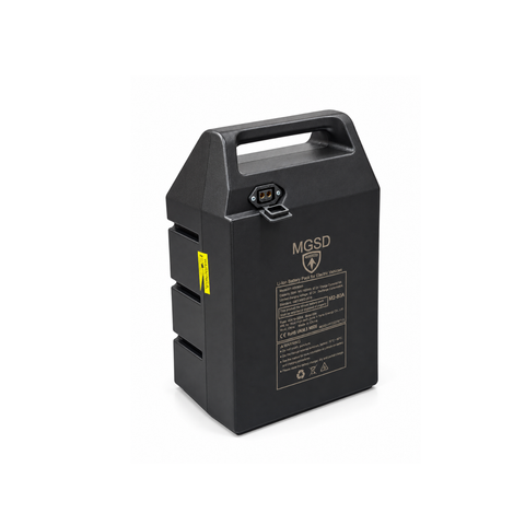 Batterie lithium 60V pour Citycoco Mangosteen M2 – 30Ah ou 40Ah