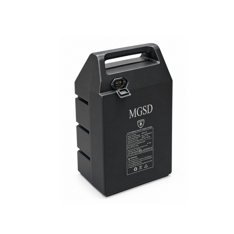 Batterie lithium 60V pour Citycoco Mangosteen M2 – 30Ah ou 40Ah