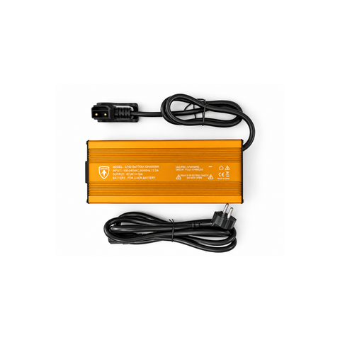 Caricabatterie per batteria per citycoco chopper M1/M3/M2/M8