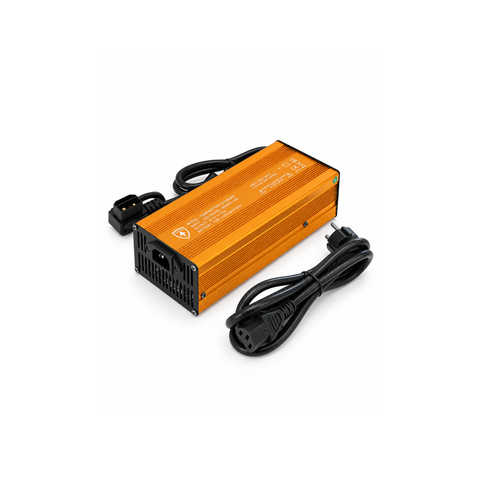 Caricabatterie per batteria per citycoco chopper M1/M3/M2/M8