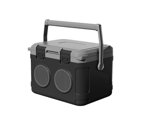 Portable cooler for veehop scooter