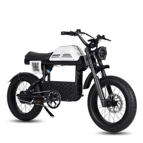 Vélo électrique FatBike Mangosteen FT-01