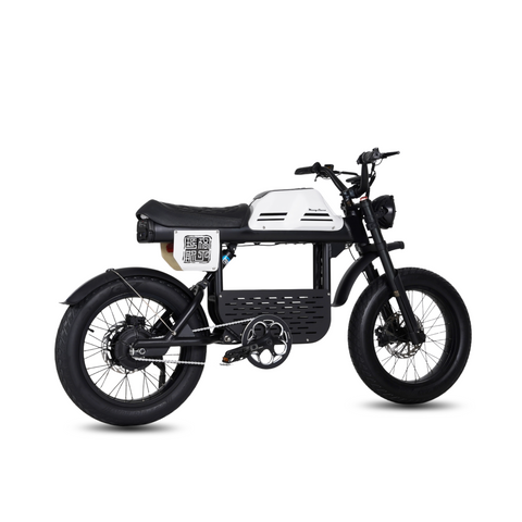 Vélo électrique FatBike Mangosteen FT-01