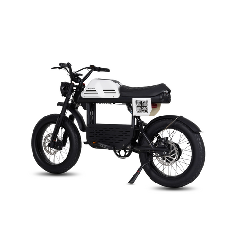 Vélo électrique FatBike Mangosteen FT-01
