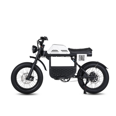 Vélo électrique FatBike Mangosteen FT-01