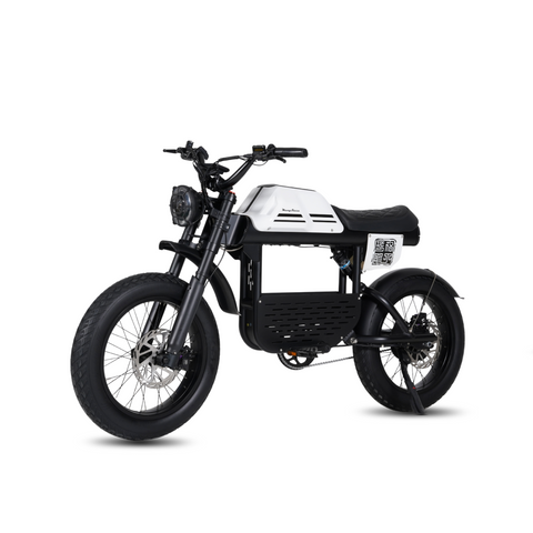 Vélo électrique FatBike Mangosteen FT-01