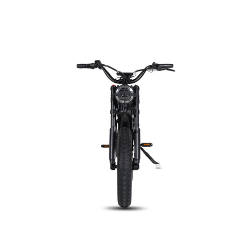 Vélo électrique FatBike Mangosteen FT-01