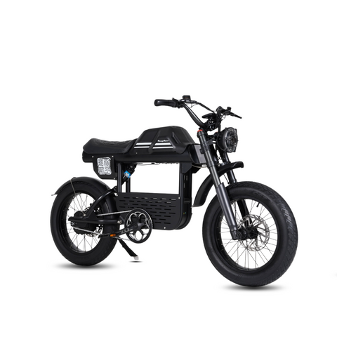 elektrofahrrad motorrad FatBike Mangosteen FT-01 Elektrofahrrad – Scoot Motion