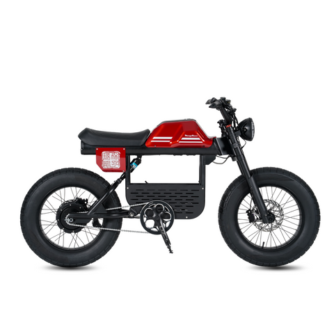 Vélo électrique FatBike Mangosteen FT-01