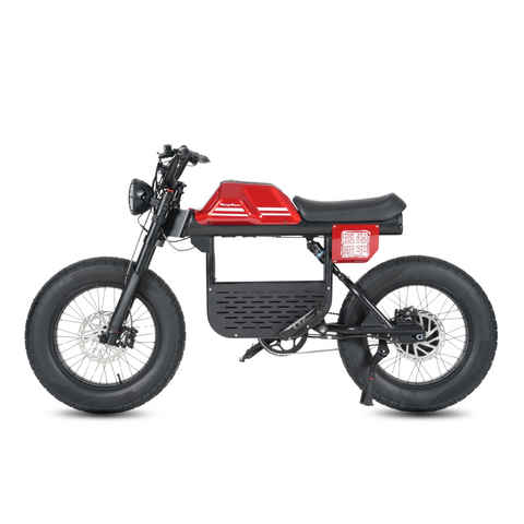 Vélo électrique FatBike Mangosteen FT-01