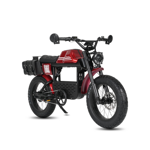 Vélo électrique FatBike Mangosteen FT-01