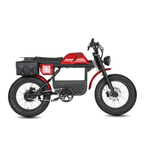 Vélo électrique FatBike Mangosteen FT-01