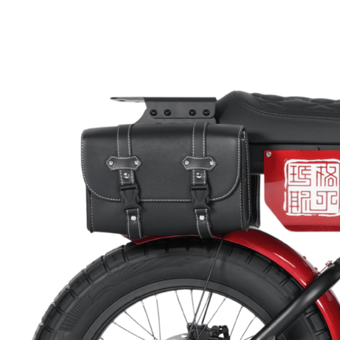 FT-01 Double Rear Pannier for Electric Bike - Large Capacity &amp; Waterproof
