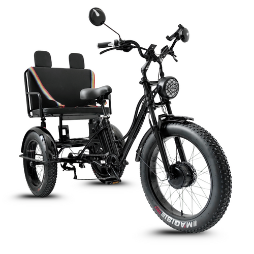 Elektrische Driewieler Fat Bike – Treefat 2