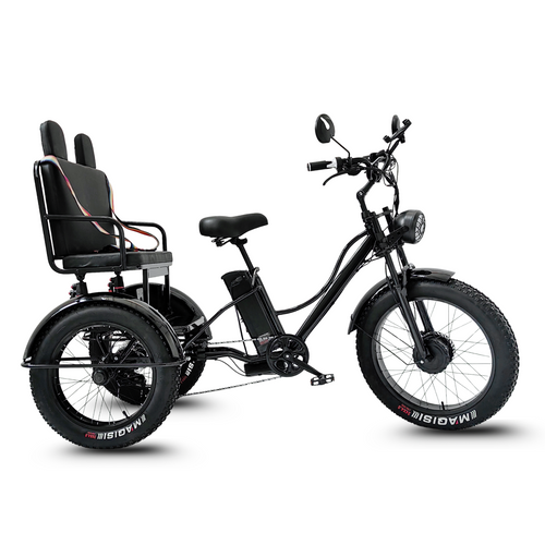 Elektrische Driewieler Fat Bike – Treefat 2