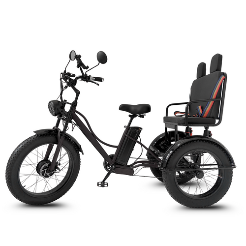Elektrische Driewieler Fat Bike – Treefat 2