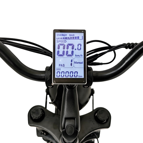 Elektrische Driewieler Fat Bike – Treefat 2