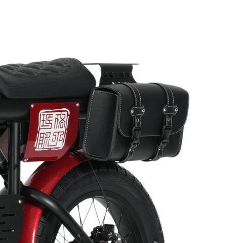 FT-01 Double Rear Pannier for Electric Bike - Large Capacity &amp; Waterproof