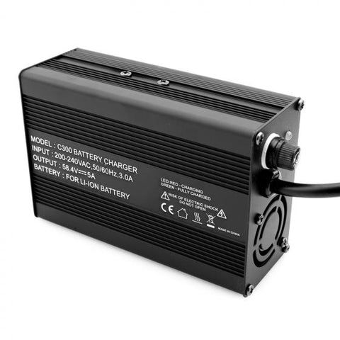 Chargeur rapide 5A pour batteries au lithium 48V