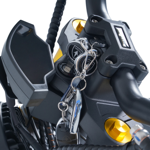 Trottinette électrique City Coco Mangosteen M8S – Grande autonomie